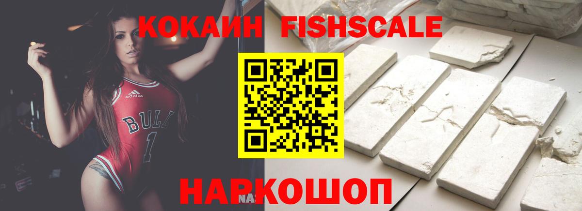 Балашов  Cocaine Fish Scale  Cocaine FishScale  Вход с VPN 