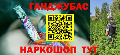 дмт Будённовск