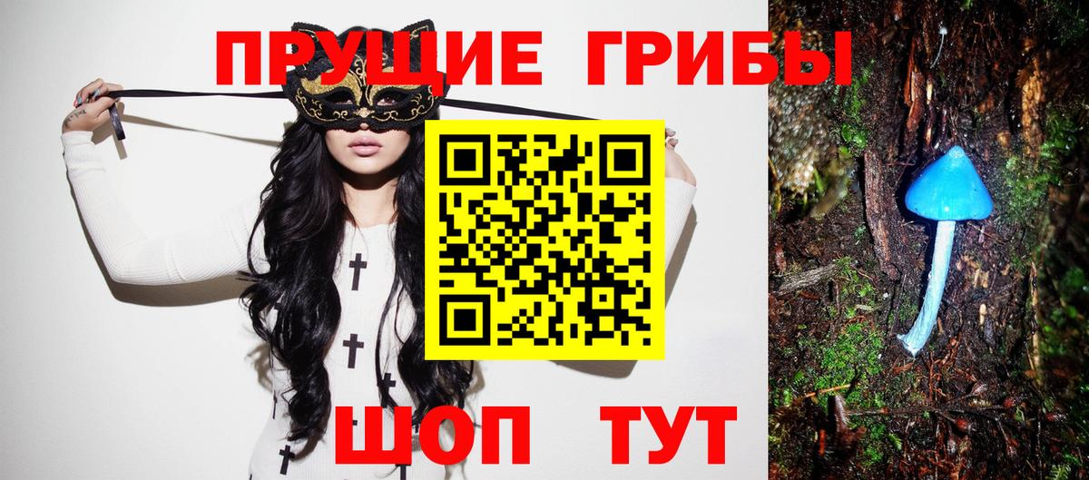 Псилоцибиновые грибы Cubensis Балашов